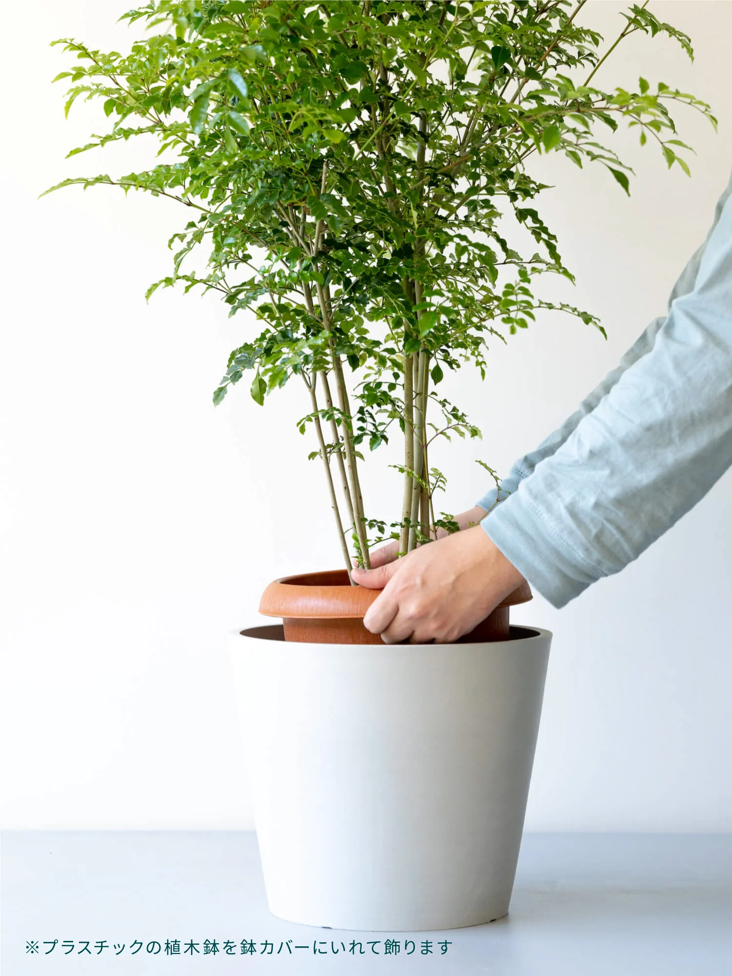 Product image 29